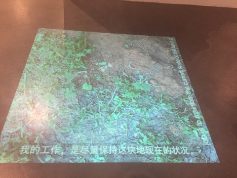 徐坦录像作品《两平方米》,与一般投影方式不同,投影仪位于天花板,直接将影像投射在地面,观众更能真切感受脚下“两平方米”的土地
徐坦录像作品《两平方米》,与一般投影方式不同,投影仪位于天花板,直接将影像投射在地面,观众更能真切感受脚下“两平方米”的土地
