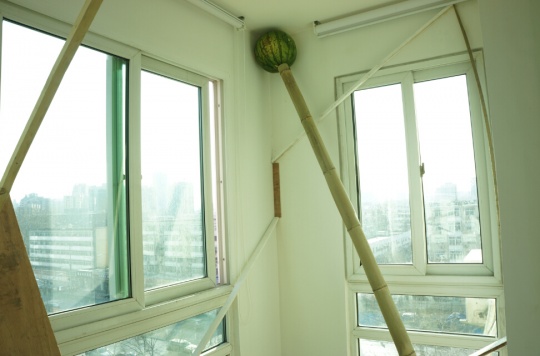 躲在角落的巨大的瓜果又让作品多了一份荒诞。
躲在角落的巨大的瓜果又让作品多了一份荒诞。