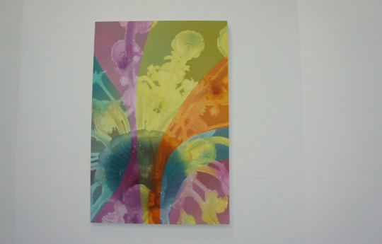 《收藏家的灯》布面油画 200×300cm 2015
艺术家将一件普通的巴洛克灯具画出了“妖艳”的感觉
《收藏家的灯》布面油画 200×300cm 2015
艺术家将一件普通的巴洛克灯具画出了“妖艳”的感觉