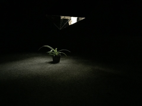 展出作品《心外无物》局部
展出作品《心外无物》局部