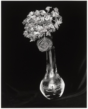 荒木经惟   《爱之花》  42×53cm  银盐打印
