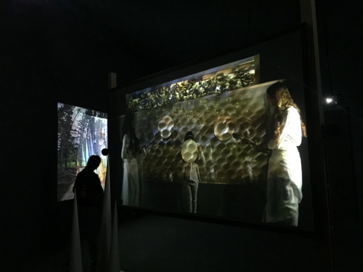 位于吉门营房艺术区的 NTU CCA 带来 Joan Jona 个展项目“They come to us without a word”
位于吉门营房艺术区的 NTU CCA 带来 Joan Jona 个展项目“They come to us without a word”