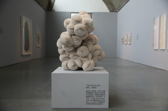 Tera Donovan 《Untitled》 纸板及热熔胶 101.6×71.1×76.2cm 2006年
Tera Donovan 《Untitled》 纸板及热熔胶 101.6×71.1×76.2cm 2006年