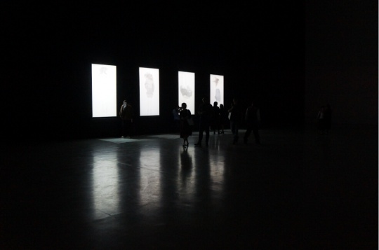 展现现场《若轻》系列四张作品单独占据一个展厅，展厅背景全部刷成黑色。矩形灯光将作品的细节完美展现。
