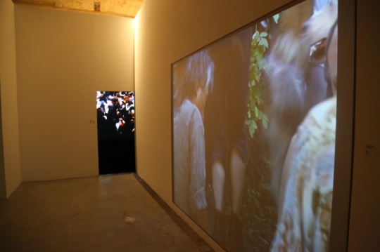 展览现场
展览现场