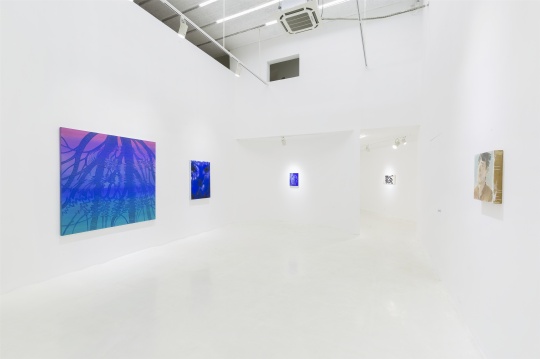 展览呈现了陈杰、陆晨、张云垚、夏禹四位艺术家近期的14件作品
