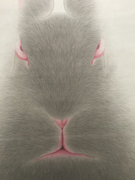 作品细节，兔子的三瓣嘴启发了邵帆的中轴线构图
