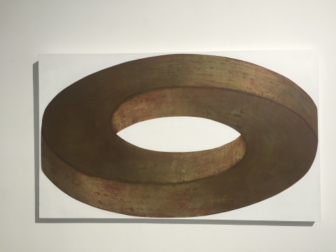 《矛盾体10》 90×150cm 布面综合材料 2016
《矛盾体10》 90×150cm 布面综合材料 2016