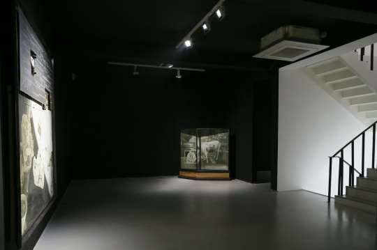 闫珩个展“调频” 远处是作品《文明1-母羊》
闫珩个展“调频” 远处是作品《文明1-母羊》