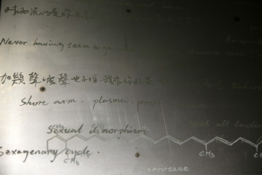 《爱情的智齿》上方的铁板上是化学公式和陈奕迅的歌词，以及其他毫不相关有互相影响的并存物
