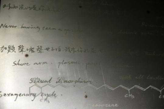 《爱情的智齿》上方的铁板上是化学公式和陈奕迅的歌词,以及其他毫不相关有互相影响的并存物
《爱情的智齿》上方的铁板上是化学公式和陈奕迅的歌词,以及其他毫不相关有互相影响的并存物