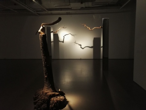 郭东来《仅此而已》260cm×60cm×30cm×2 装置 综合材料 2016
《木计划—未NO.3》尺寸可变 装置 综合材料 2015
郭东来《仅此而已》260cm×60cm×30cm×2 装置 综合材料 2016
《木计划—未NO.3》尺寸可变 装置 综合材料 2015