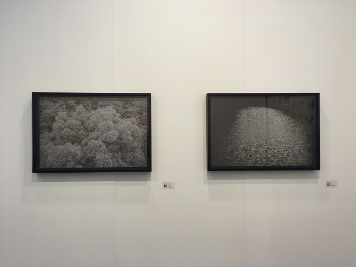 前波画廊
塔可《洛水》 泛银,硫化钡纸 53x80cm 6版 2015
塔可《虎跑》 泛银,硫化钡纸 53x80cm 6版 2015
前波画廊
塔可《洛水》 泛银,硫化钡纸 53x80cm 6版 2015
塔可《虎跑》 泛银,硫化钡纸 53x80cm 6版 2015