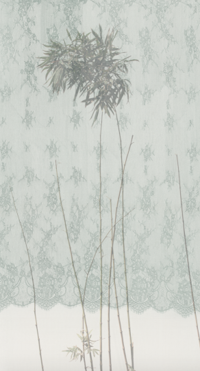《丝图9》 200 x 110cm 绢本 水色 2016
《丝图9》 200 x 110cm 绢本 水色 2016