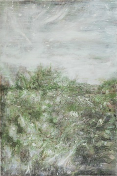 李继开 《青草》300×200cm 布面丙烯 2016
李继开 《青草》300×200cm 布面丙烯 2016