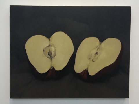 闫冰 《切开的红苹果》 100×130cm 布面油画 2016
闫冰 《切开的红苹果》 100×130cm 布面油画 2016