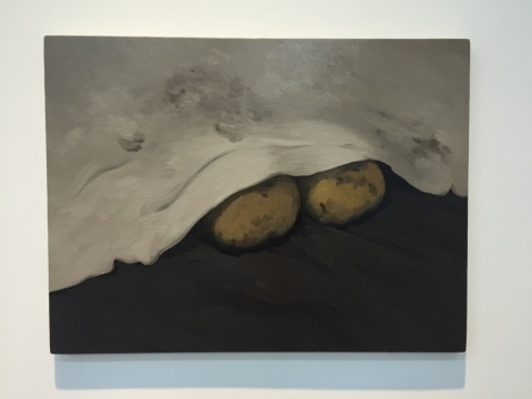闫冰 《白布遮盖的土豆》 60×80cm 布面油画 2016
闫冰 《白布遮盖的土豆》 60×80cm 布面油画 2016