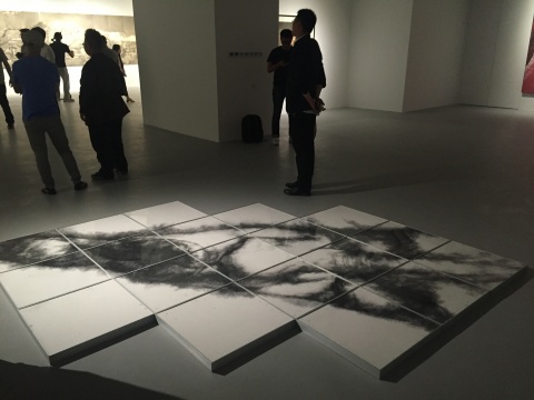 《表情2》 56×56cm×19 纸本、木炭条 2014
《表情2》 56×56cm×19 纸本、木炭条 2014