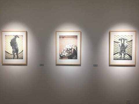 左起:创作于1992年的石版画《网中之羊》2、3、1
左起:创作于1992年的石版画《网中之羊》2、3、1