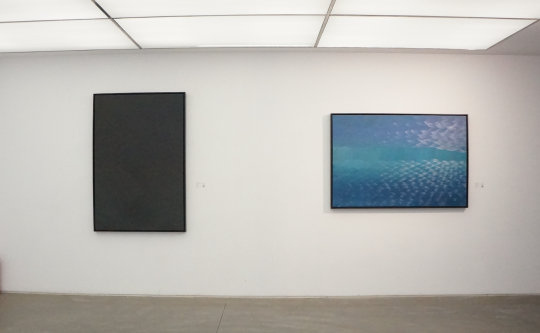 《混合的力量-水气》100×150cm 布面油画 2015(右)
《混合的力量-水气》100×150cm 布面油画 2015(右)