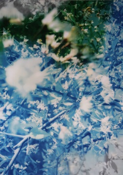 韩磊 《花》 156x110cm 光栅影像 2015
