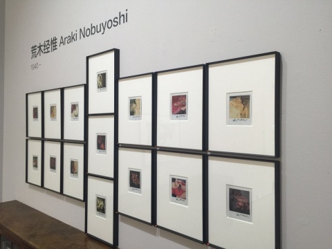 展览现场荒木经惟作品
展览现场荒木经惟作品