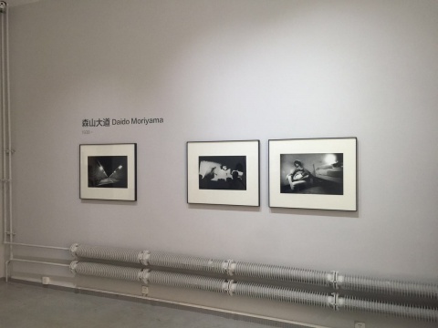 展览现场,森山大道作品
展览现场,森山大道作品