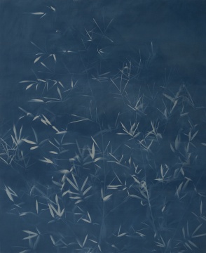 《竹子2》 240×168cm 亚麻布蓝晒 2015
《竹子2》 240×168cm 亚麻布蓝晒 2015