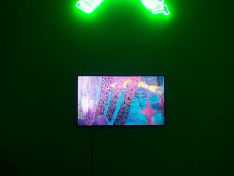 展厅开始的视频介绍
展厅开始的视频介绍