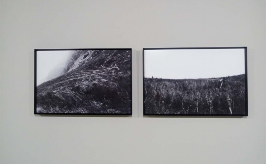行为作品《移山》
行为作品《移山》