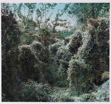 史国威《灰色树林》 138.3×150.6cm 黑白照片手工着色  2015