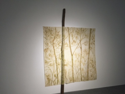 展览现场，吉赛普·佩诺内作品《林之绿》
