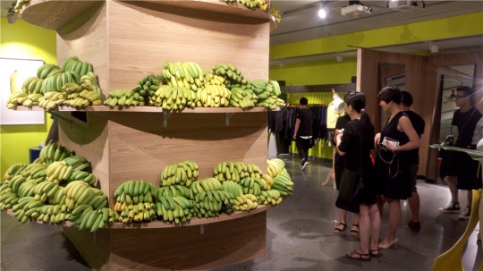展览现场的香蕉
展览现场的香蕉