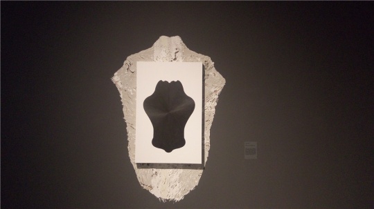 任瀚 《镜子》系列 82×53cm 纸上铅笔裱木板 2015
任瀚 《镜子》系列 82×53cm 纸上铅笔裱木板 2015