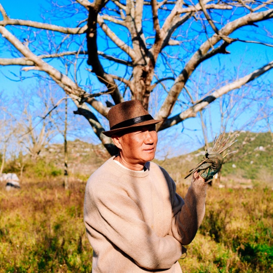 圭山是未曾消逝的80年代的缩影
圭山是未曾消逝的80年代的缩影
