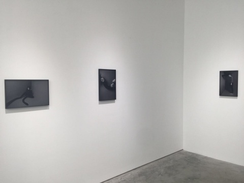 展览现场,范西作品
展览现场,范西作品