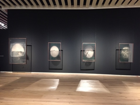 骆丹《何时离去》系列 163.5×113cm 卤化银、棉、腈纶 2015
骆丹《何时离去》系列 163.5×113cm 卤化银、棉、腈纶 2015