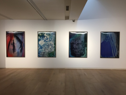 韩磊 《竹》系列 156×110cm 光栅影像 2016
韩磊 《竹》系列 156×110cm 光栅影像 2016