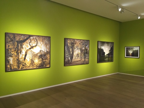 Peter Bialobrzeski《天堂此时》系列 127.5×154.5cm 2015
Peter Bialobrzeski《天堂此时》系列 127.5×154.5cm 2015