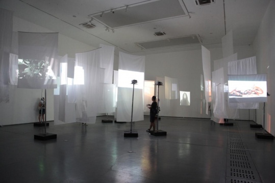 “洄游 平流层”展览现场 “洄游 平流层”展览现场