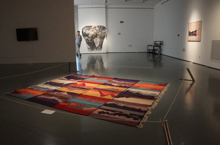 波黑艺术家玛雅·巴杰维克装置作品《艺术、工艺、实物》 波黑艺术家玛雅·巴杰维克装置作品《艺术、工艺、实物》