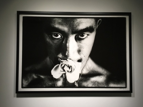 细江英公 《蔷薇刑》100×150cm 银盐相纸 1961 版本5
细江英公 《蔷薇刑》100×150cm 银盐相纸 1961 版本5