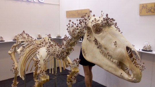 1号馆展览现场,李琳琳《蘑菇商店》
1号馆展览现场,李琳琳《蘑菇商店》