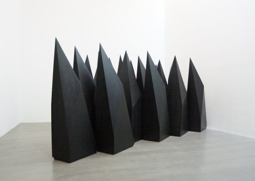 《组建》20件,每件220×80×45cm 木料、黑色喷漆 2016
《组建》20件,每件220×80×45cm 木料、黑色喷漆 2016