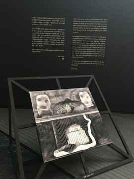 作品被放在铁架上,朝向不同的方向,照片的尺寸也不尽相同,但传递给观众的感觉是一致的。
作品被放在铁架上,朝向不同的方向,照片的尺寸也不尽相同,但传递给观众的感觉是一致的。
