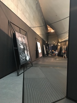 展览现场的罗杰作品
展览现场的罗杰作品