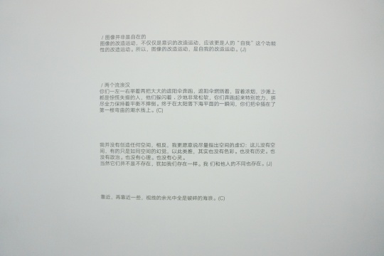 现场贴在墙上的字节选自蒋志和陈晓云的书籍《滥情书》C=陈晓云，J=蒋志，是对两人思想的记录，也是艺术家创作不可分割的一部分。