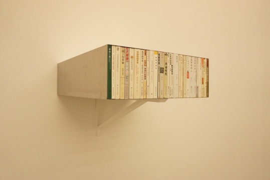 《革命》 20×58×17cm 装置、书 2016 《革命》 20×58×17cm 装置、书 2016