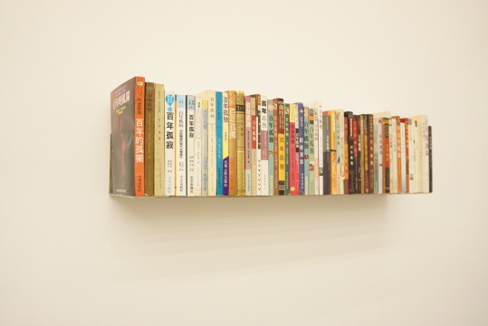 《百年孤独》 25×93×17cm 装置、书 2013-2016
《百年孤独》 25×93×17cm 装置、书 2013-2016