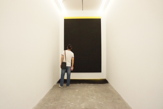 《尘归尘3.0》 350×180×100cm 纸上色粉笔 铝塑板 2016
《尘归尘3.0》 350×180×100cm 纸上色粉笔 铝塑板 2016
